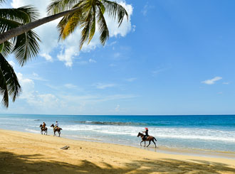 Horseback riding by the sea